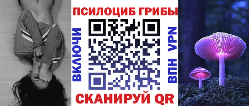 как найти наркотики  Дальнереченск  гидра маркетплейс  Псилоцибиновые грибы Magic Shrooms 