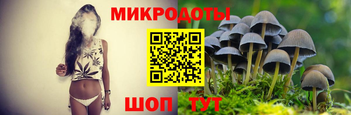 Дальнереченск  Галлюциногенные грибы Magic Shrooms  Вход с VPN 